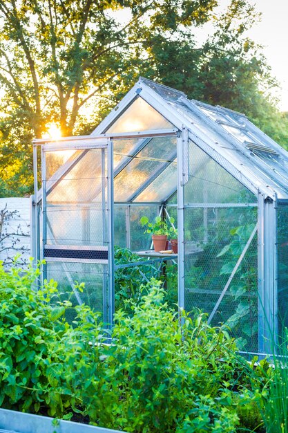 serre en verre trempé sur mesure - toutverre