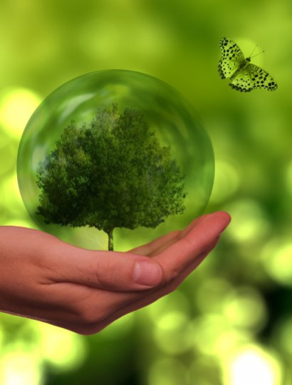 L'écologie, un mot qui a du sens pour Toutverre.com